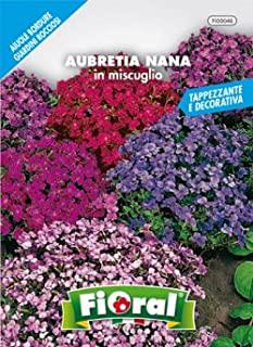 Recensioni di piante per giardino roccioso